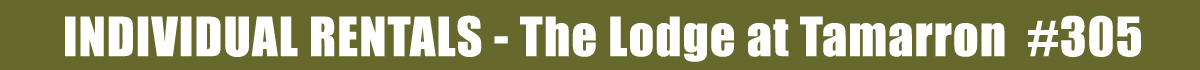 Individual Rentals - The Lodge #305